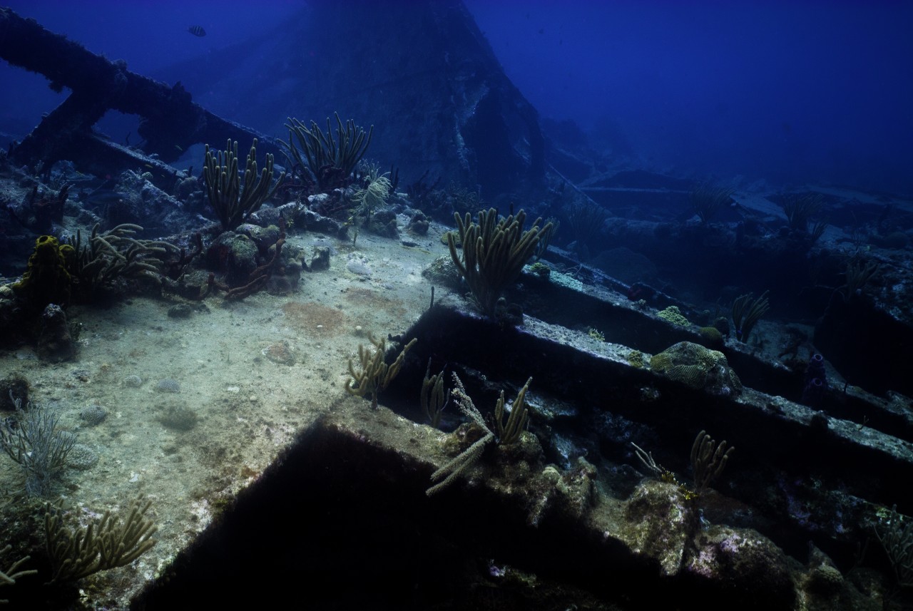 Day 2: The underwater world at The Indians and the wreck of the RMS Rhone